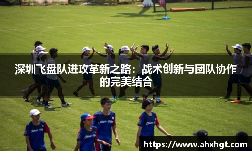 深圳飞盘队进攻革新之路：战术创新与团队协作的完美结合